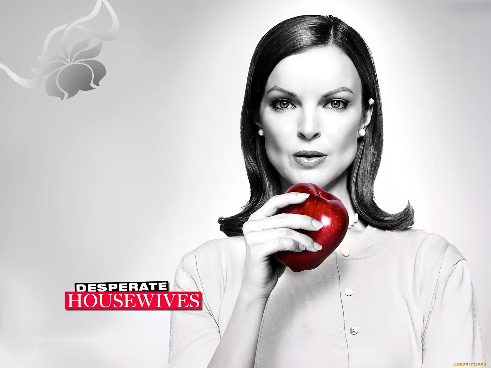  , desperate housewives, , 